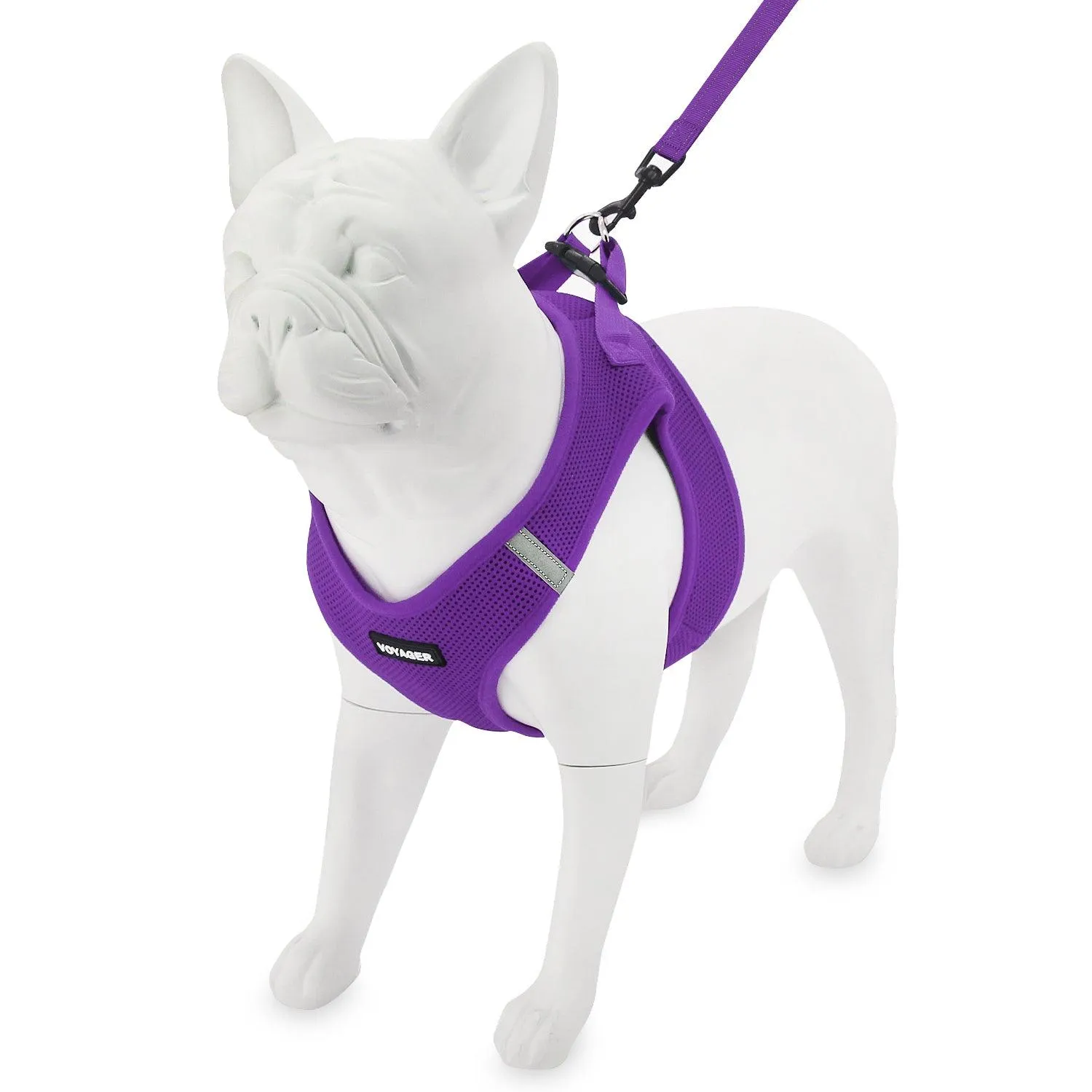 Halloween Step-in Air Harness & Leash Set