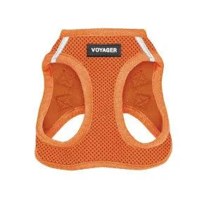 Halloween Step-in Air Harness & Leash Set