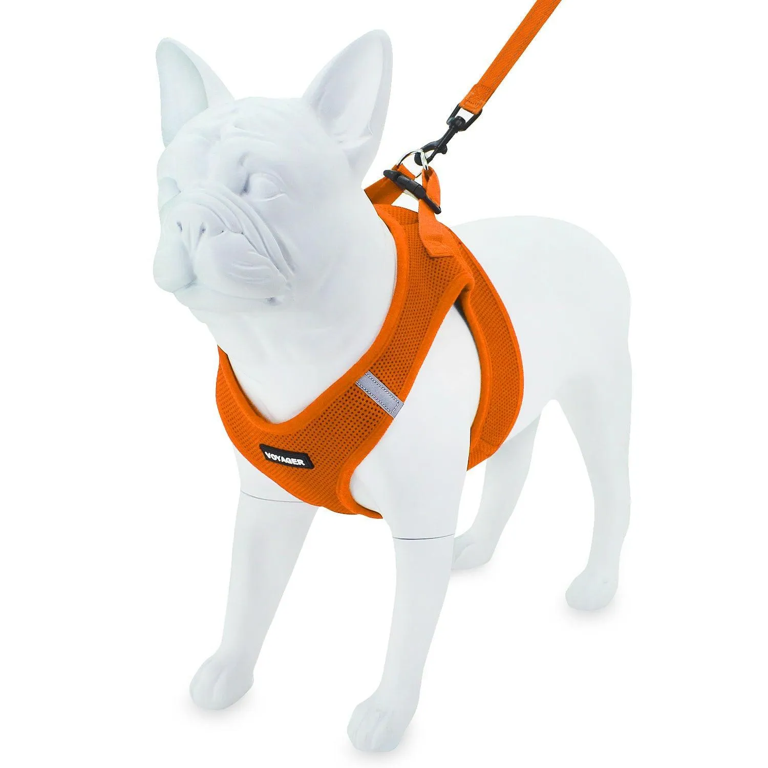 Halloween Step-in Air Harness & Leash Set