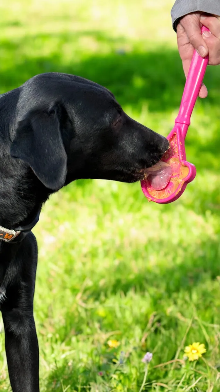 Lick Stick Hand-Held Interactive Enrichment Toys