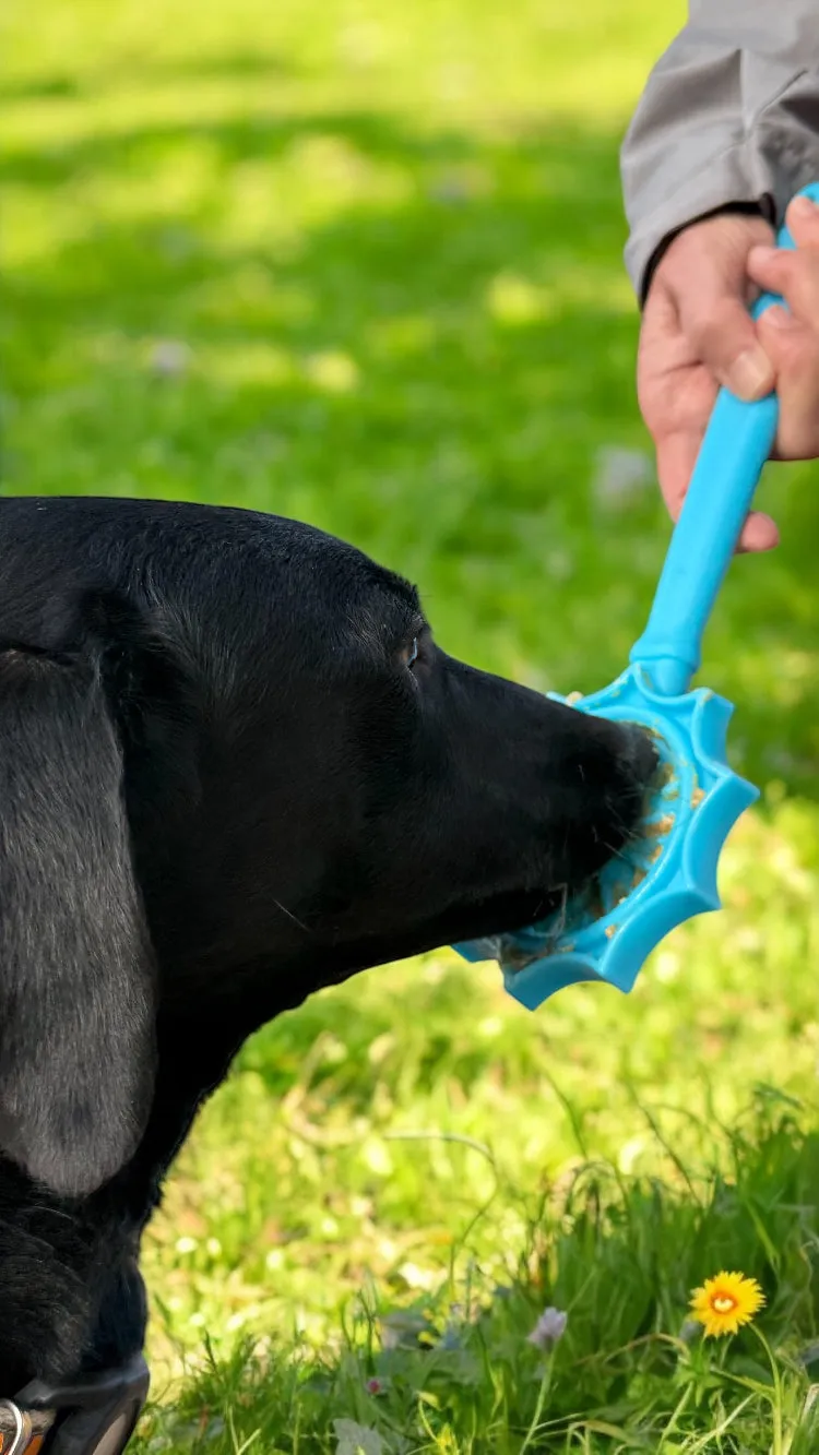 Lick Stick Hand-Held Interactive Enrichment Toys