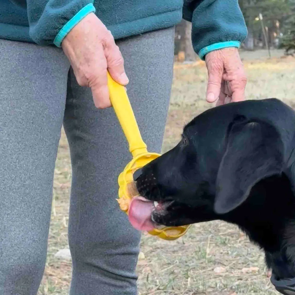 Lick Stick Hand-Held Interactive Enrichment Toys