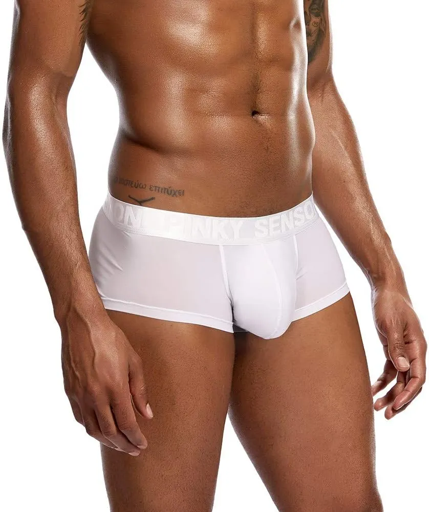 Men's Lace Perspective Pouch G-String Mens Cotton Bikini Underwear Sexy Night Wear for Men Mens Elephant Underwear