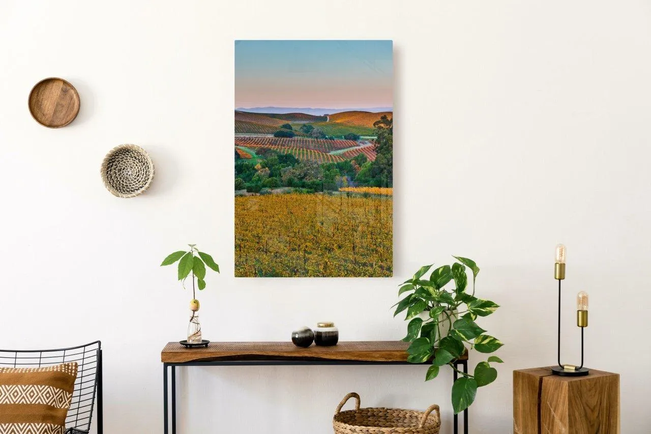"Chromatic Valley" | Vineyard Photography Print
