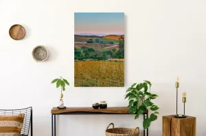 "Chromatic Valley" | Vineyard Photography Print