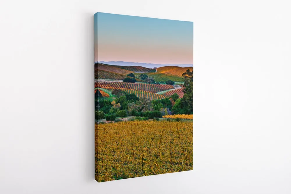 "Chromatic Valley" | Vineyard Photography Print