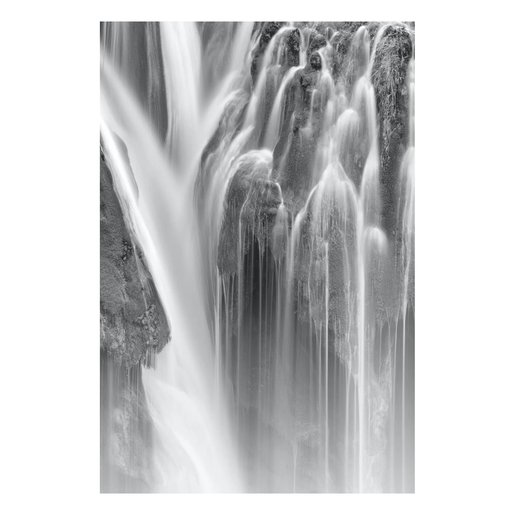 "Eternal" | Nature Photography Print