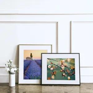 "Stripes of Lavender" | Matted Print