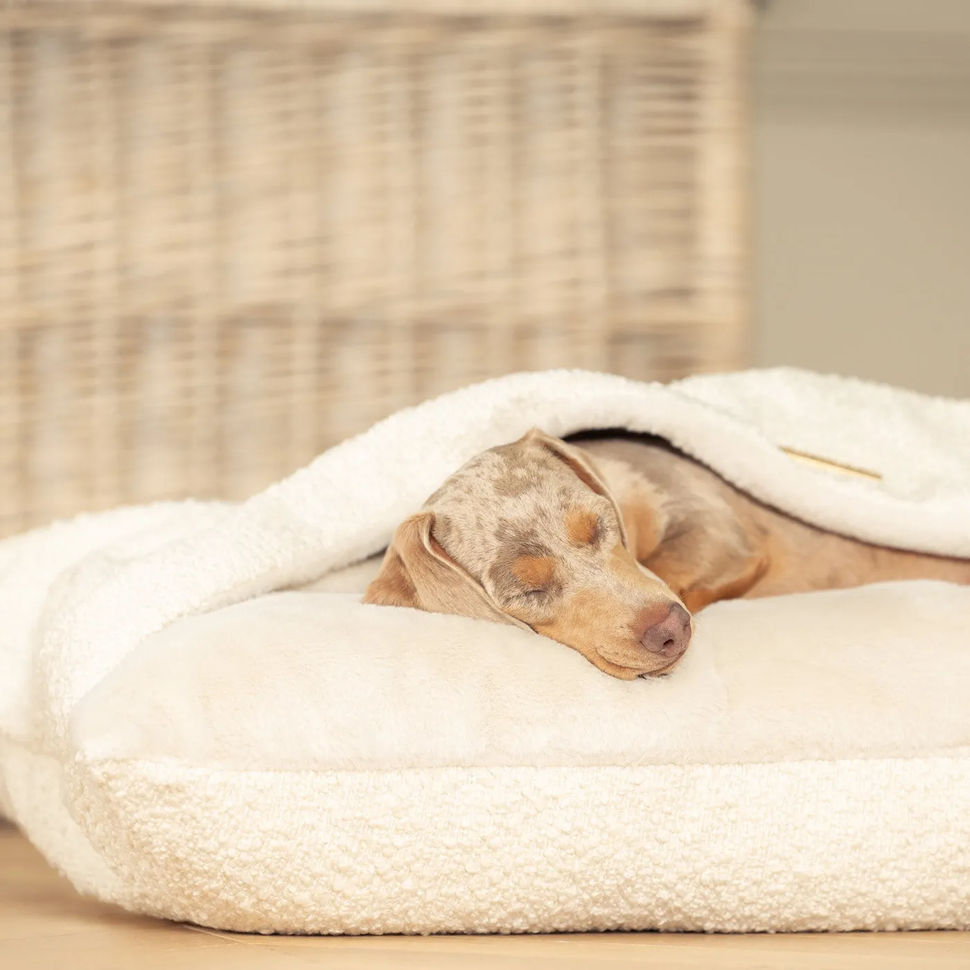 Sleepy Burrows Bed in Ivory Bouclé by Lords & Labradors