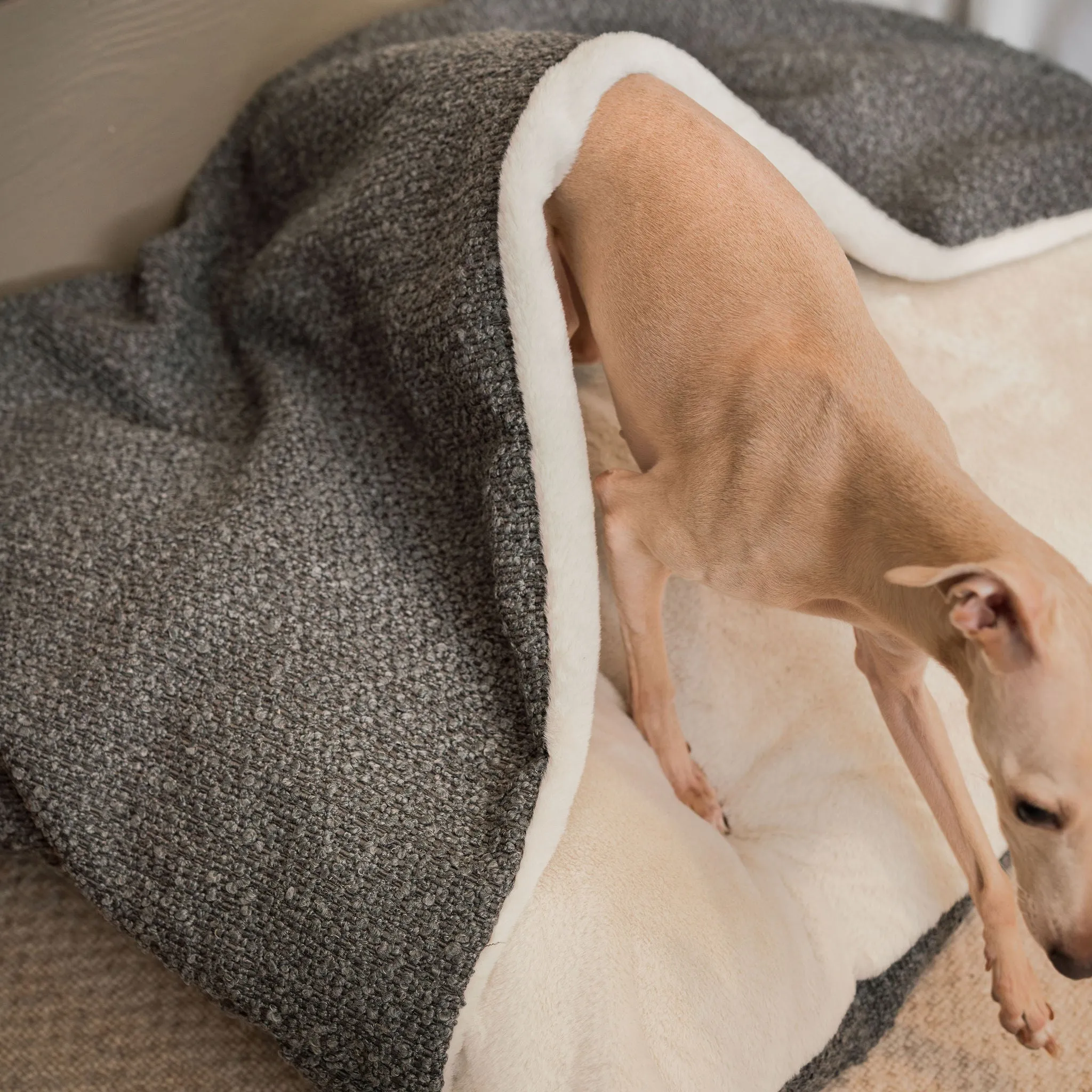 Sleepy Burrows Bed With Removable Cover in Granite Bouclé by Lords & Labradors