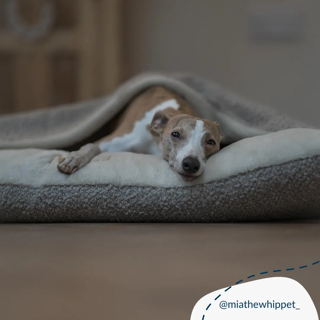 Sleepy Burrows Bed With Removable Cover in Mink Bouclé by Lords & Labradors
