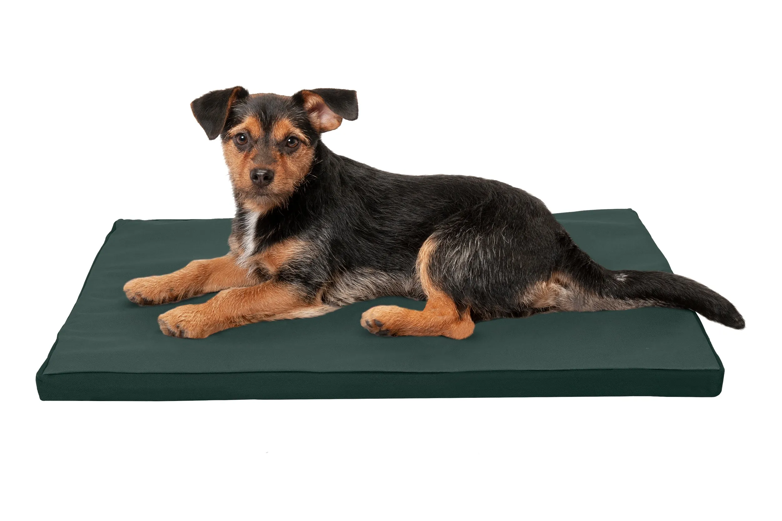 Water-Resistant Kennel Pad for Crates & Kennels