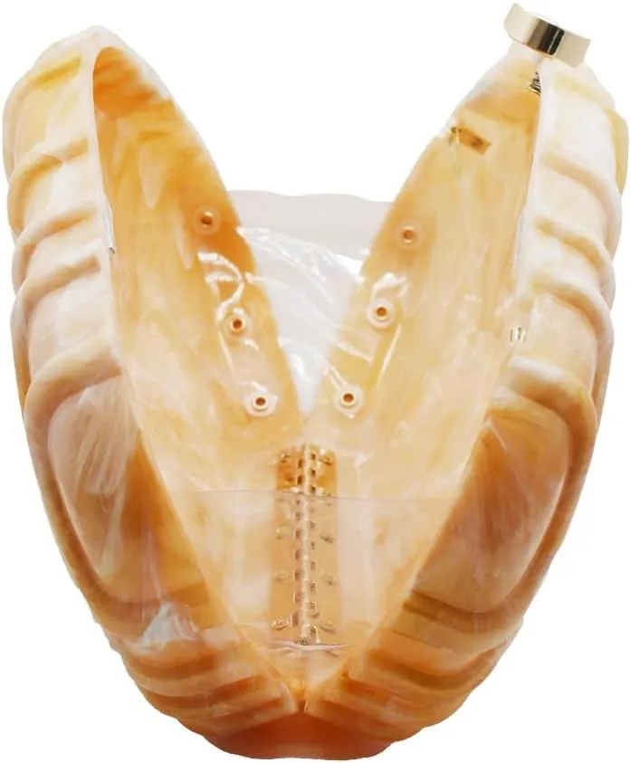 Women Shell Shape Acrylic Evening Clutch Purse Unique Stripe Marble Handbag for Party Cocktail Wedding